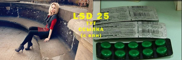 индика Елабуга