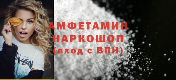 индика Елабуга