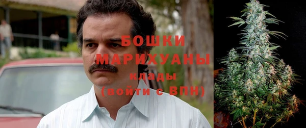 крисы Елизово