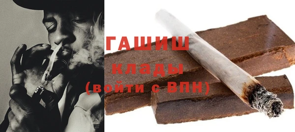 индика Елабуга