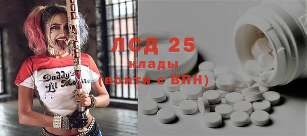 эйфоретик Ельня