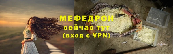 индика Елабуга