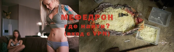 индика Елабуга
