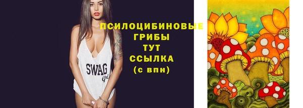 индика Елабуга