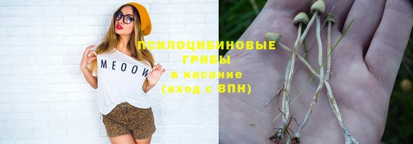 крисы Елизово