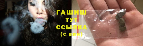 крисы Елизово