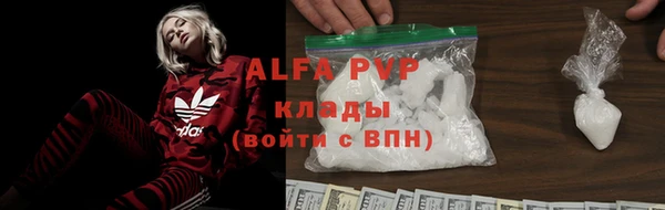 индика Елабуга
