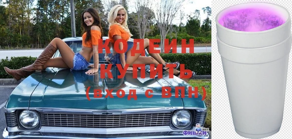 крисы Елизово