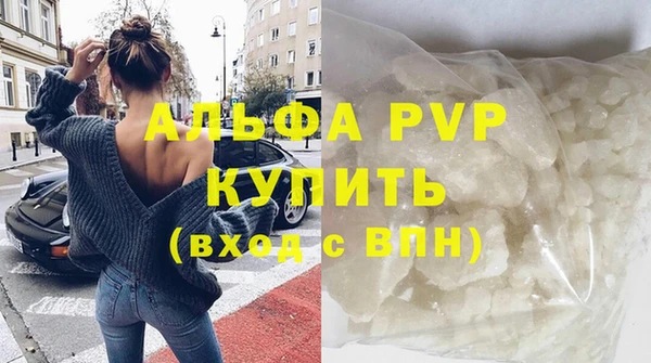индика Елабуга