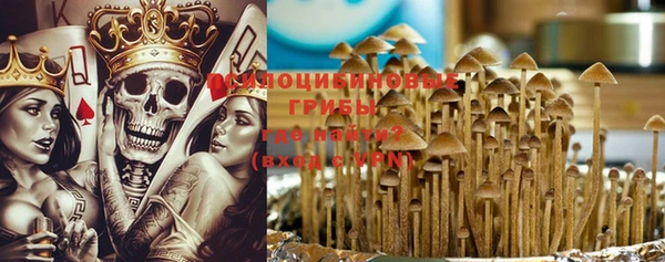крисы Елизово