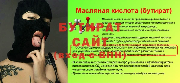 эйфоретик Ельня