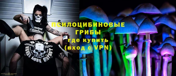 крисы Елизово