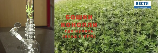 индика Елабуга