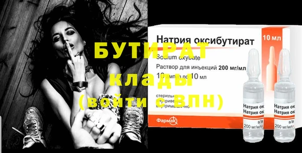 индика Елабуга