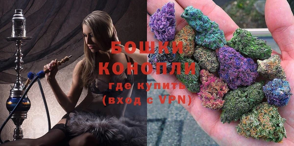 индика Елабуга