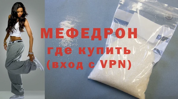 индика Елабуга