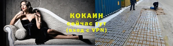 индика Елабуга