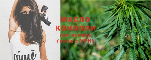 крисы Елизово