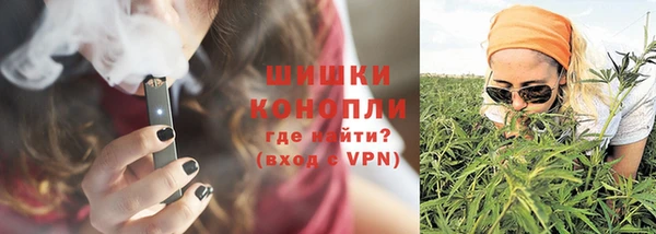 индика Елабуга