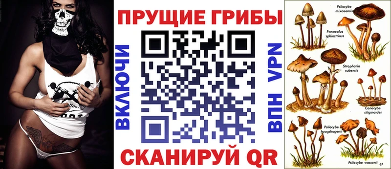 Купить  Колпашево  Псилоцибиновые грибы мухоморы 